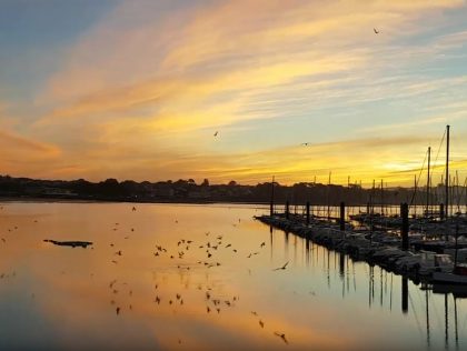 Magnifique et paisible lever de soleil à Brest en Finistère. #EtSiVousVeniezEnFinistère #MonJobEnFinistere